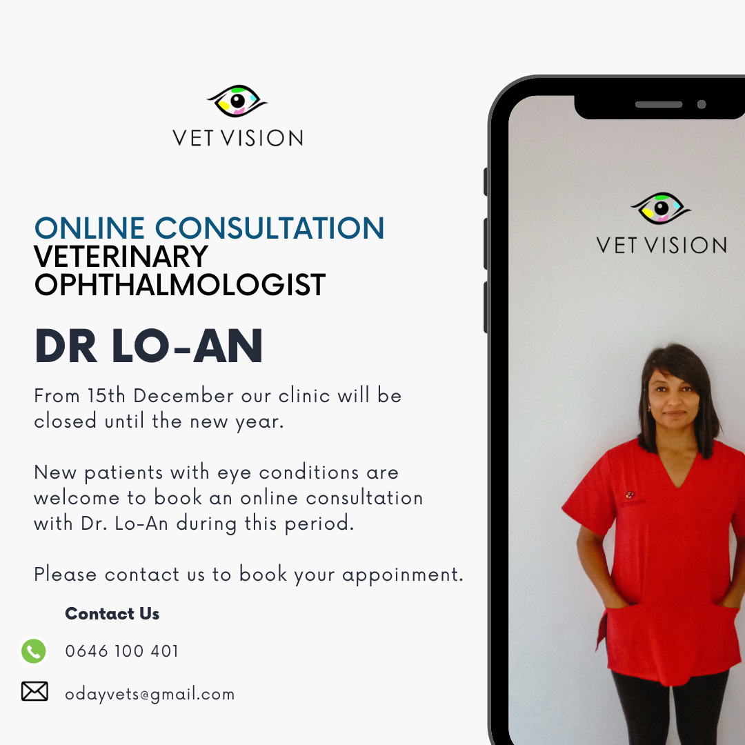 Veterinary Ophthalmologist Online Consultation Oday Vets