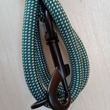 Load image into Gallery viewer, Dog&#39;s Life Creative Cords Leash Gingham Green
