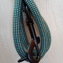 Load image into Gallery viewer, Dog's Life Creative Cords Leash Gingham Green