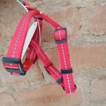 Load image into Gallery viewer, Dog's Life H Harness Medium