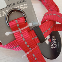 Load image into Gallery viewer, Dog's Life H Harness Medium