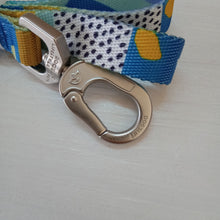 Load image into Gallery viewer, Dog's Life Designer Pooch Leash Tarrazo Blue