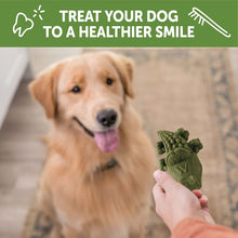 Load image into Gallery viewer, Whimzees Wellness Large Alligator All natural Dog Chew Treat 6 piece Value Bag