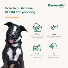 Load image into Gallery viewer, Company of Animals Baskerville Ultra Muzzle Multiple Sizes