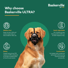Load image into Gallery viewer, Company of Animals Baskerville Ultra Muzzle Multiple Sizes