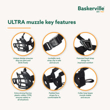 Load image into Gallery viewer, Company of Animals Baskerville Ultra Muzzle Multiple Sizes