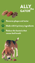 Load image into Gallery viewer, Whimzees Wellness Large Alligator All natural Dog Chew Treat 6 piece Value Bag