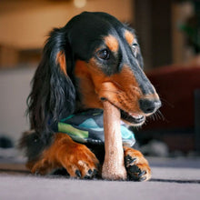 Load image into Gallery viewer, Petstages Dogwood Dog Chew Stick Toy Small