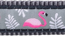 Load image into Gallery viewer, Red Dingo Flamingo Cool Grey Dog Collar 3 Sizes