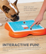Load image into Gallery viewer, outward hound Nina Ottosson challenge slider level 3 dog puzzle food toy