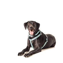Load image into Gallery viewer, Urban Paws Bolt Dog Collar 3 Sizes