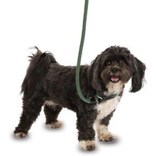 Load image into Gallery viewer, Company of Animals 3in1 Dog Slip Lead Black Small 1.2m