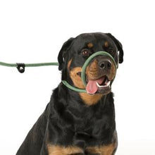 Load image into Gallery viewer, Company of Animals 3in1 Dog Slip Lead Black Small 1.2m