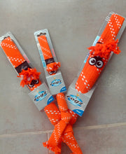 Load image into Gallery viewer, Rogz Scrubz Oral Care Dog Toy Small Medium Large Orange