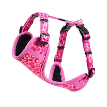 Load image into Gallery viewer, Rogz Small Dog Wild Heart Comfy Fashion Harness