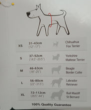 Load image into Gallery viewer, Red Dingo Purple Medium Padded Harness