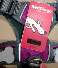 Load image into Gallery viewer, Red Dingo Purple Medium Padded Harness