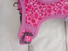 Load image into Gallery viewer, Rogz Small Dog Wild Heart Comfy Fashion Harness