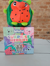 Load image into Gallery viewer, Outward Hound Surprise Hedgies Grunting Dog Toy