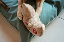 Load image into Gallery viewer, Dog's Life Fortune Cookie 2 in 1 Surprise Dog Toy