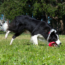 Load image into Gallery viewer, Rogz Pop Upz Dog Toy 2 Sizes