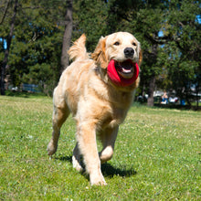 Load image into Gallery viewer, Rogz Pop Upz Dog Toy 2 Sizes