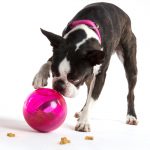 Load image into Gallery viewer, Rogz Tumbler Dog Food Puzzle Ball