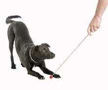 Load image into Gallery viewer, Company of Animals Dog Training Metal Telescopic Target Stick