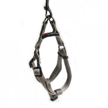 Load image into Gallery viewer, Dog's Life Step In Harness for Dogs Size Small