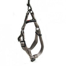 Load image into Gallery viewer, Dog's Life Step In Harness for Dogs Size Medium