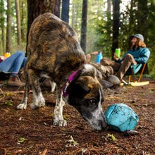 Load image into Gallery viewer, Ruffwear Gnawt-a-Rock Nuzzle Flop Treat Dispensing Dog Toy