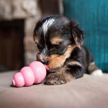 Load image into Gallery viewer, Kong Puppy Stuffable Toy Dog (for cats too)