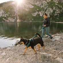 Load image into Gallery viewer, Ruffwear Front Range Dog Harness Medium Tumalo Teal