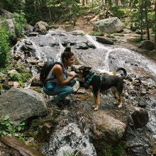 Load image into Gallery viewer, Ruffwear Front Range Dog Harness Medium Tumalo Teal