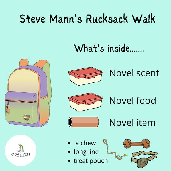 Alternatives To Dog Walks: Part 2 Steve Mann's Rucksack Walk