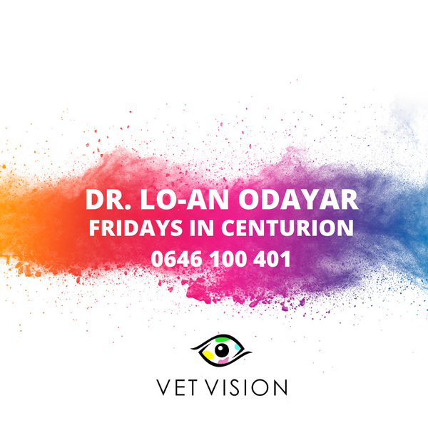 Eye Vet Specialist Veterinarian Dr. Lo-an Consults in Centurion, Gauteng