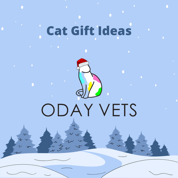 Christmas Gift Ideas For Your Cat