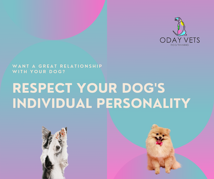 Shy Dog or Bold Dog? Respect Your Dog's Individual Personality and Really Grow Your Relationship