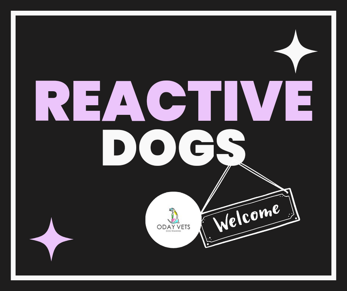Reactive Dogs Welcome Here
