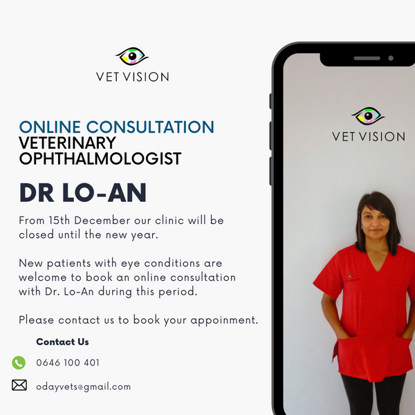Veterinary Ophthalmologist Online Consultation