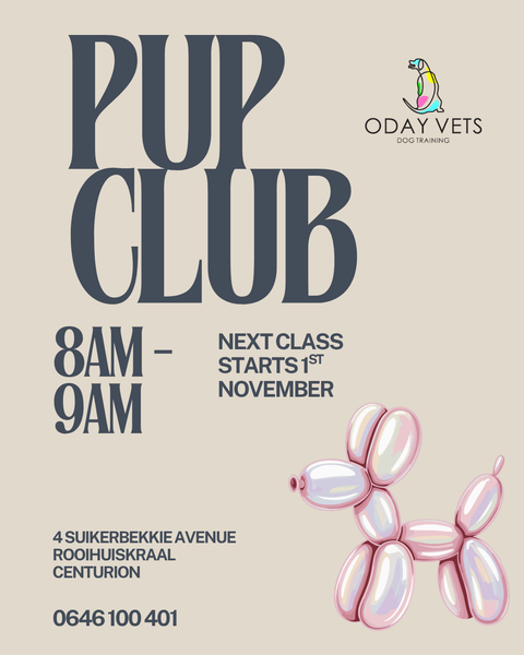 New Puppy Class – Starts 1 November 2025 (Centurion)