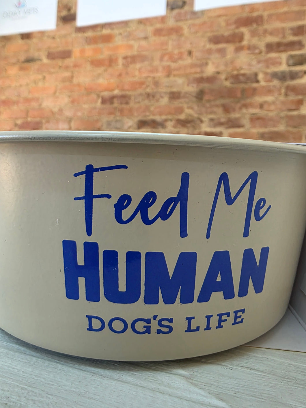 Dog’s Life Stainless Steel Dog Food or Water Bowl – Medium 1020ml 3 Fun Designs