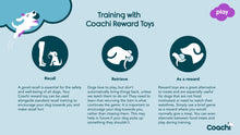 Load image into Gallery viewer, Company of Animals Coachi Tuggi Hide Dog Tug Toy
