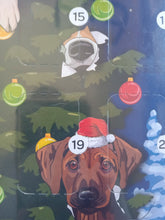 Load image into Gallery viewer, Probono Iced Dog Treat Christmas Advent Calendar
