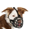 Dog wearing Baskerville muzzle – ability to pant and take treats