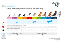 Load image into Gallery viewer, Curli Air Mesh Clasp Vest Harness (Step-In) | Small–Medium Dogs Moss
