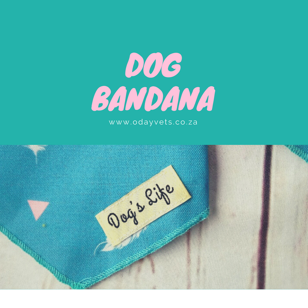Dog's Life Blue Feather Bandana 3 Sizes