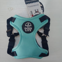 Load image into Gallery viewer, Dog&#39;s Life X Neoprene Harness Turquoise
