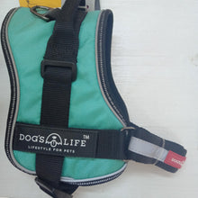 Load image into Gallery viewer, Dog&#39;s Life Active No Pull Control Harness Turquoise Various Sizes

