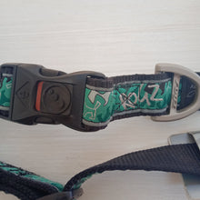 Load image into Gallery viewer, Rogz Classic Dog Collar Mint Dog Fancy Dress Design
